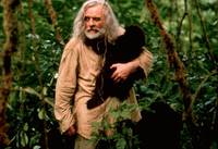 Кадр Инстинкт