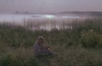 Кадр И на камнях растут деревья