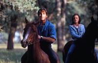 Кадр Письма убийцы