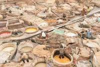 Кадр Париж любой ценой