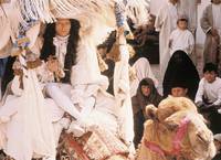 Кадр Орландо