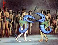 Кадр Дикая планета