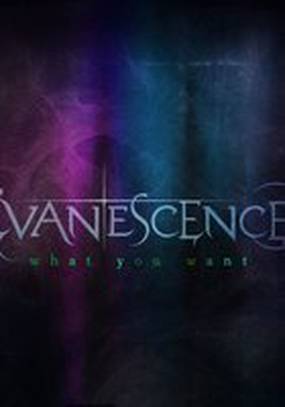 Evanescence's 'What You Want'