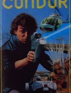 Condor