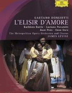 Любовный напиток