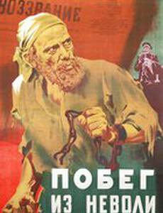 Побег из неволи