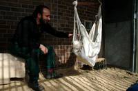 Кадр Кнут и его друзья