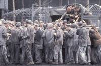 Кадр Братья по оружию (мини-сериал)