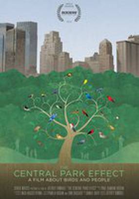 Эффект центрального парка