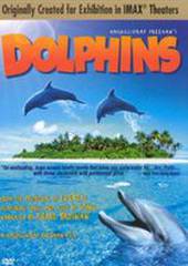 Дельфины