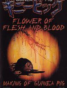 Подопытная свинка 2: Цветок из плоти и крови (видео)