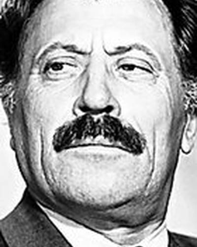 Александр Самулекин фото