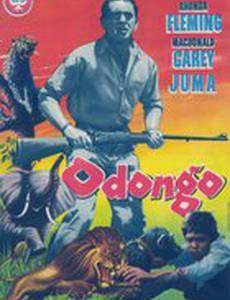 Odongo