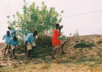 Кадр 11 сентября