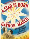 Постер из фильма "Звезда родилась" - 1