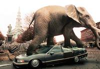 Кадр Джуманджи