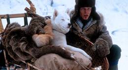 Кадр из фильма "Железная воля" - 2