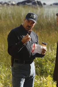 Кадр Правосудие Стоуна: Смерть в раю