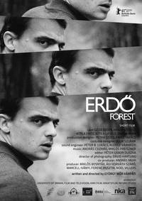 Постер Erdö