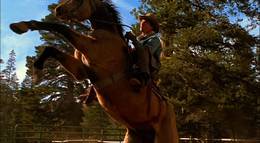 Кадр из фильма "Упрямые сердца" - 2