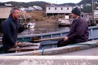 Кадр Корабельные новости