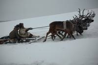 Кадр Земля людей