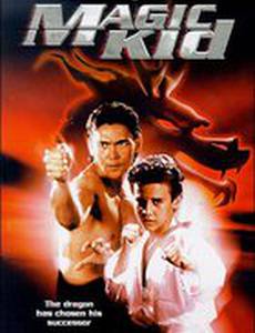 Ниндзя-драконы (видео)