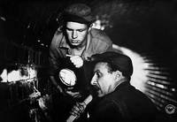 Кадр Banktresor 713