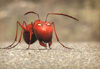 Кадр Букашки 3D. Приключение в Долине Муравьев