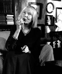 Кадр Цветы календулы