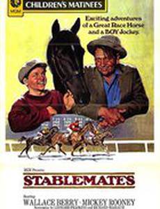 Из одной конюшни