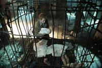 Кадр Константин