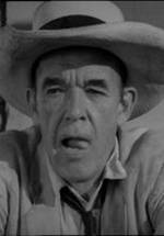 Хэл Хоппер фото