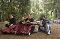 Кадр Реальные кабаны