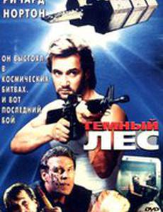 Темный лес