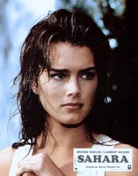 Кадр Сахара