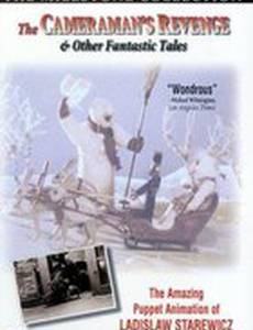 Как лягушки выпросили себе короля