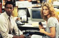 Кадр Дело о пеликанах