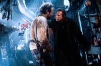 Кадр Король-рыбак