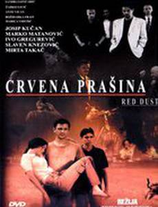 Crvena prasina