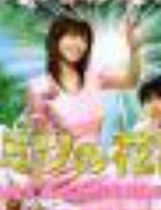 Секрет Ханазоно