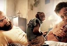 Мальчишник для пенсионеров