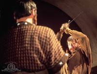 Кадр Лев зимой