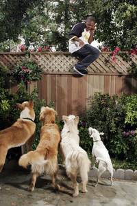 Кадр Такая Рэйвен