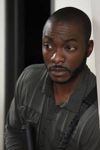 Кадр Агенты «Щ.И.Т.»