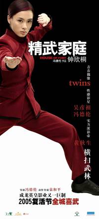 Постер Дом гнева