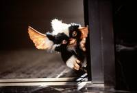 Кадр Гремлины 2: Новенькая партия