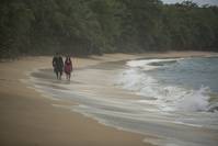 Кадр Череп и кости