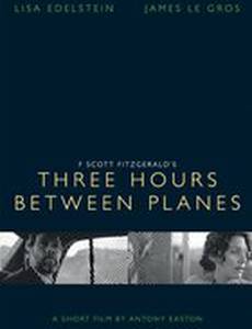 Three Hours Between Planes