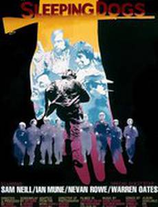 Спящие собаки